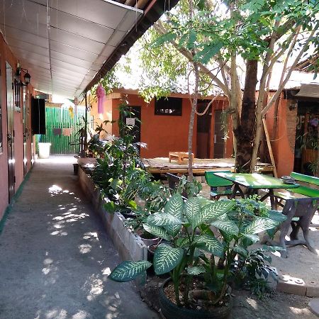 Sdt Home Chiang Mai Ngoại thất bức ảnh
