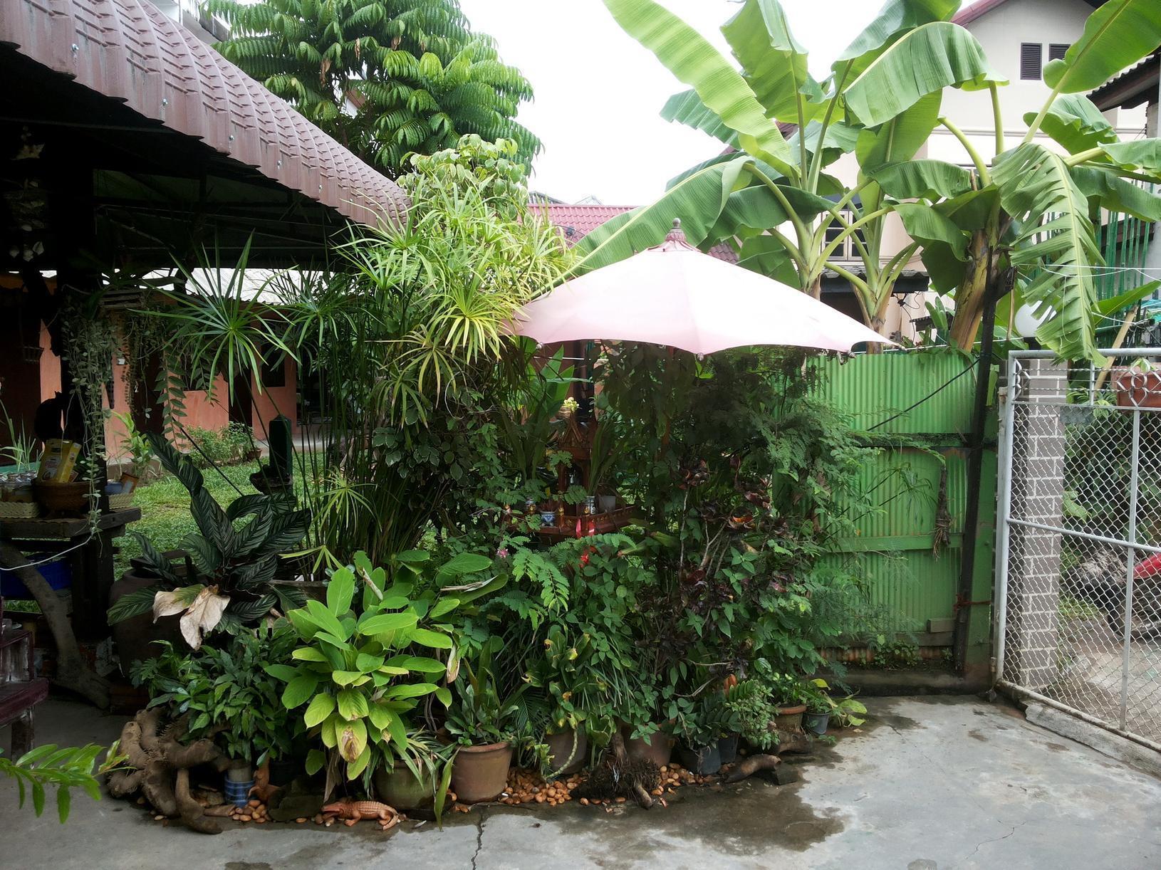 Sdt Home Chiang Mai Ngoại thất bức ảnh