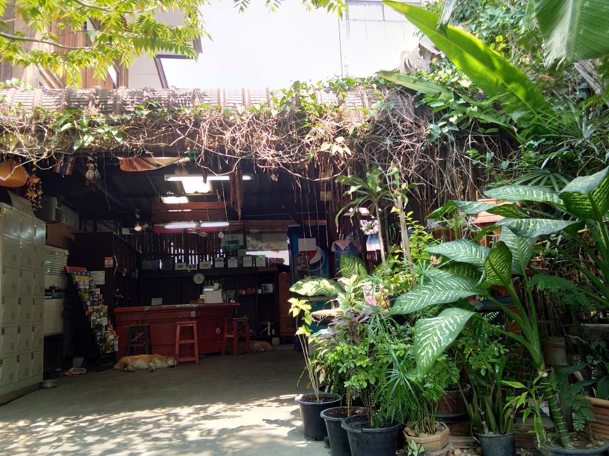Sdt Home Chiang Mai Ngoại thất bức ảnh